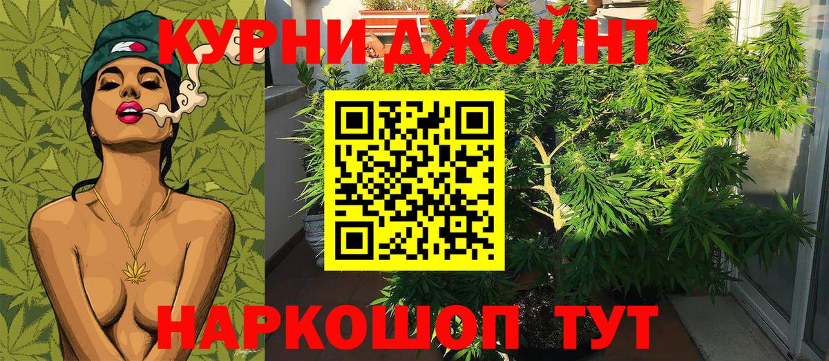 МАРИХУАНА планчик Полевской